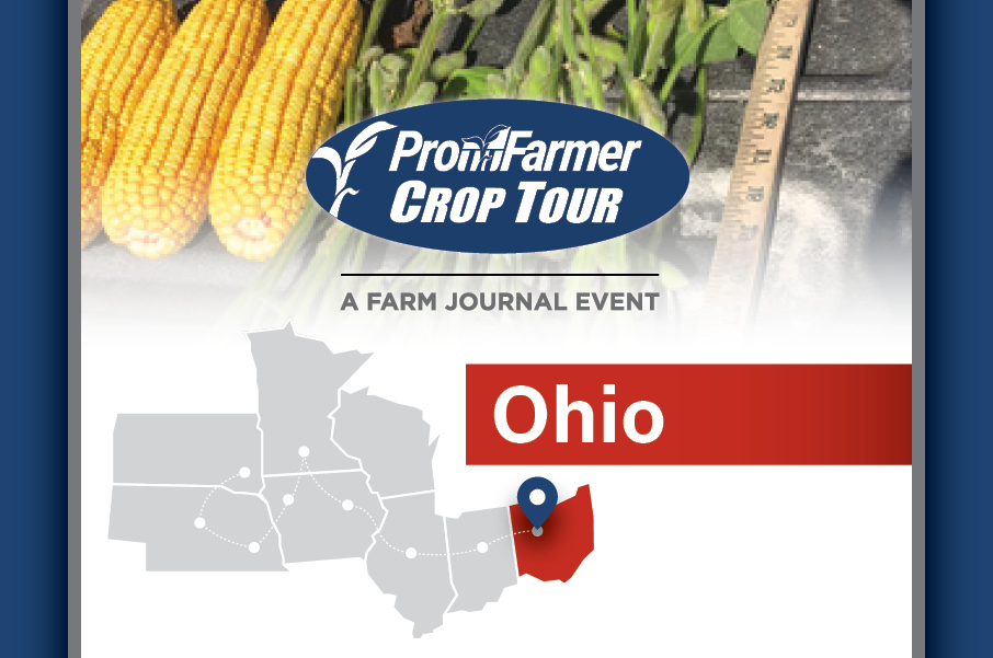 union county crop tour